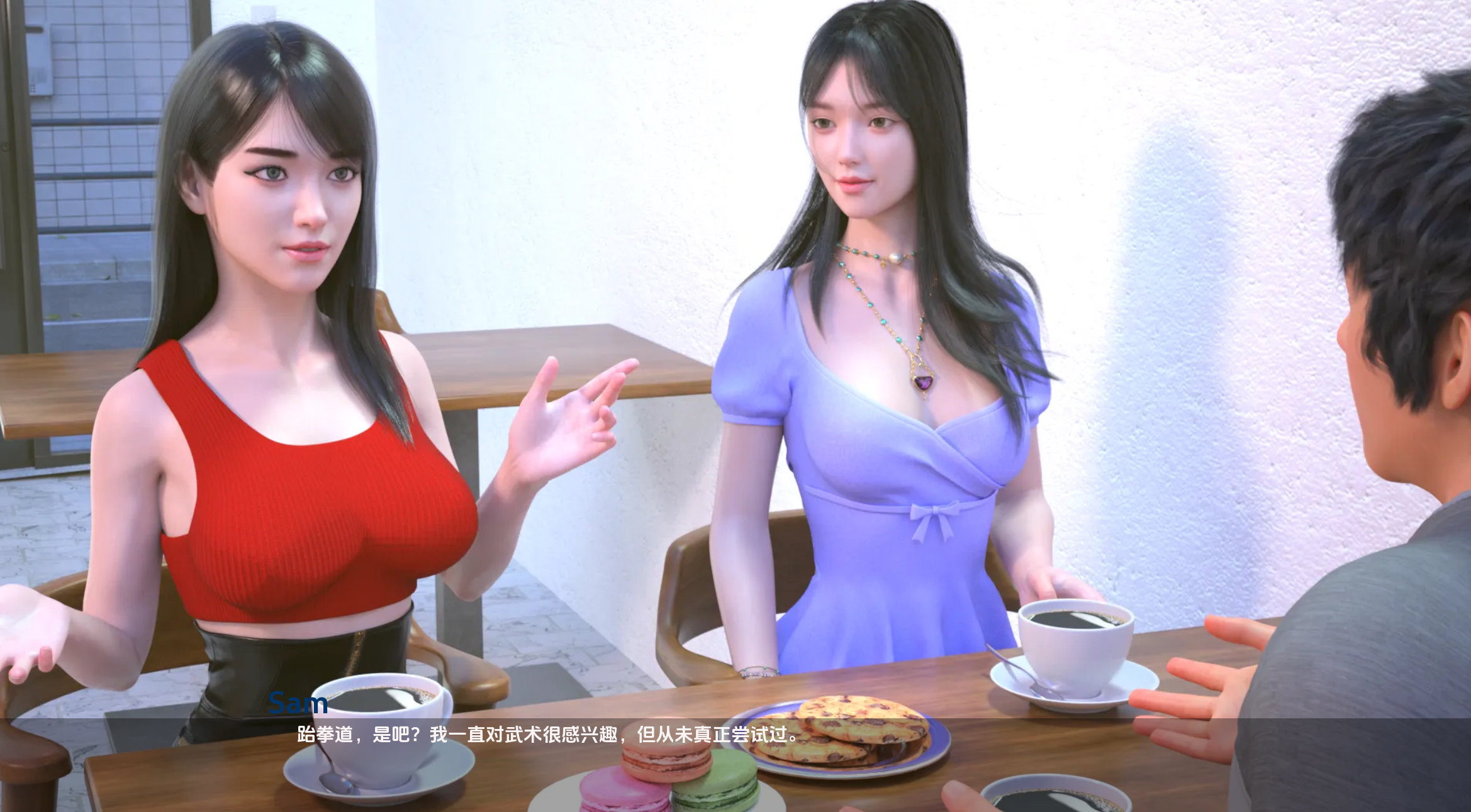 【欧美SLG/汉化/动态】最热的夏天0.55汉化版【PC+安卓/1.98G/更新】 Hottest Summer [v0.55]