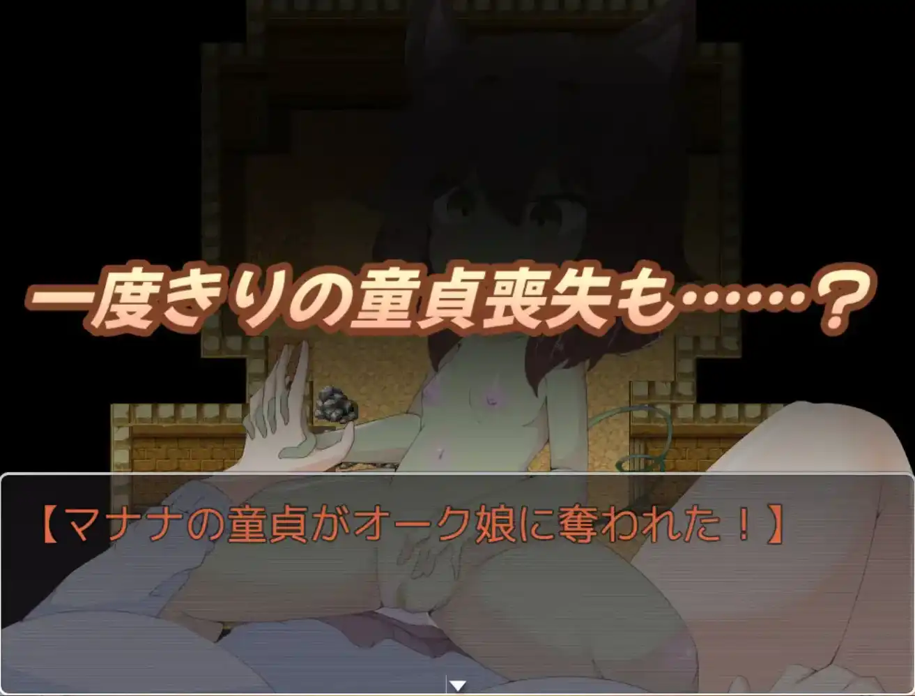 【爆款RPG/AI汉化】双性人杂货店1.0汉化版【PC+安卓/1.35G】